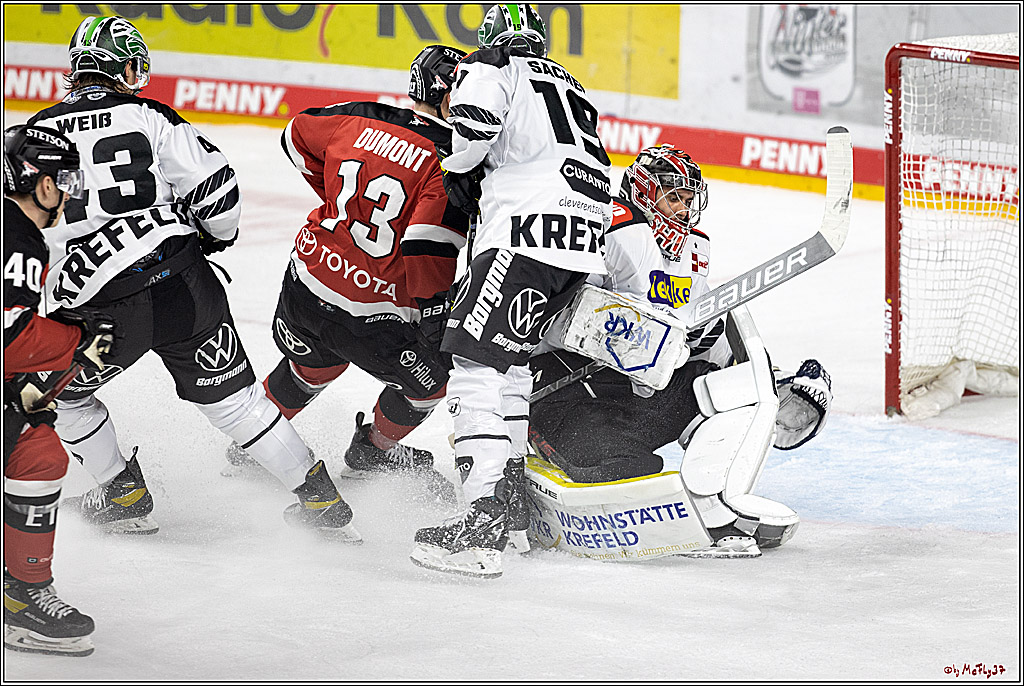 PENNY DEL;  Koelner Haie - Krefeld Pinguine; Koeln, 31.10.2021